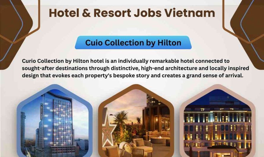 Curio by Hilton Hotel Jobs Vietnam